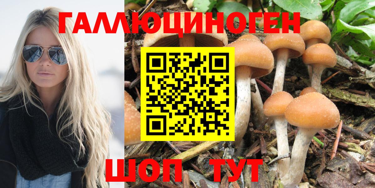 Галлюциногенные грибы MAGIC MUSHROOMS Славгород