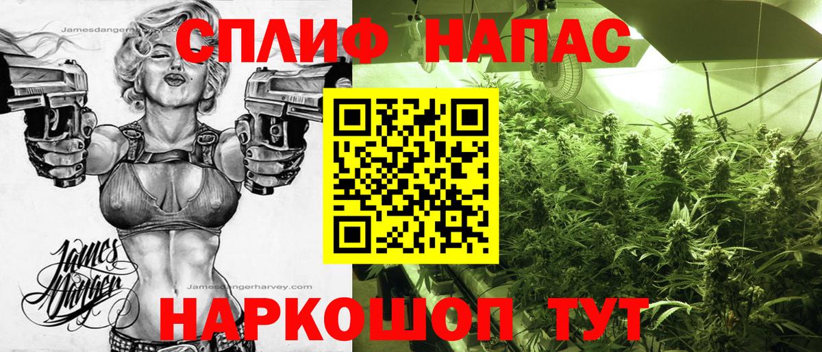 Бошки Шишки AK-47  МАРИХУАНА гибрид  Славгород  Вход с VPN  Бошки Шишки ГИДРОПОН 